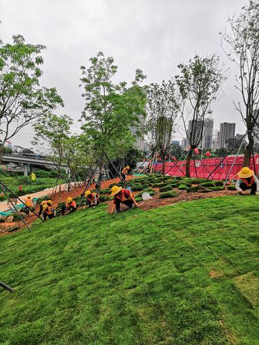 國藝園林大沙河生態(tài)長廊景觀項(xiàng)目綠化工程II標(biāo) 假山的藝術(shù)與生態(tài)融合